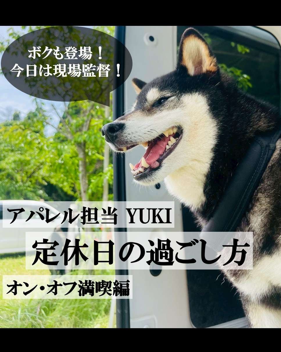 📖💜【定休日 気ままBlog】💜📖